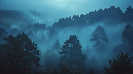 Misty forest at dawn, ethereal and tranquil