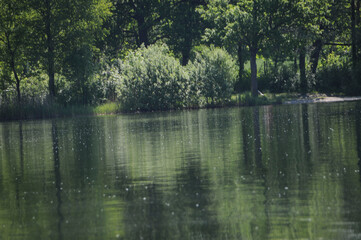 see wasser natur baum sommer