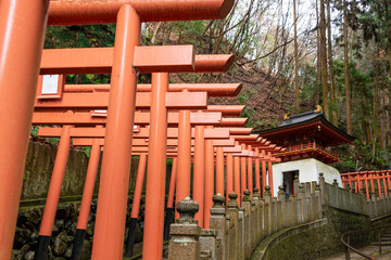 Fototapeta na wymiar Torii gate on a way to Tanukidanisan Fudoin in Kyoto, Japan