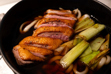 A bowl of duck and leek udon.