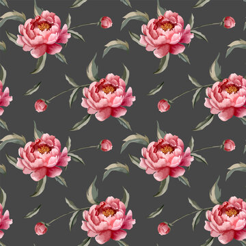 Seamless pattern with watercolor peonies on dark background. Watercolor botanical vector background