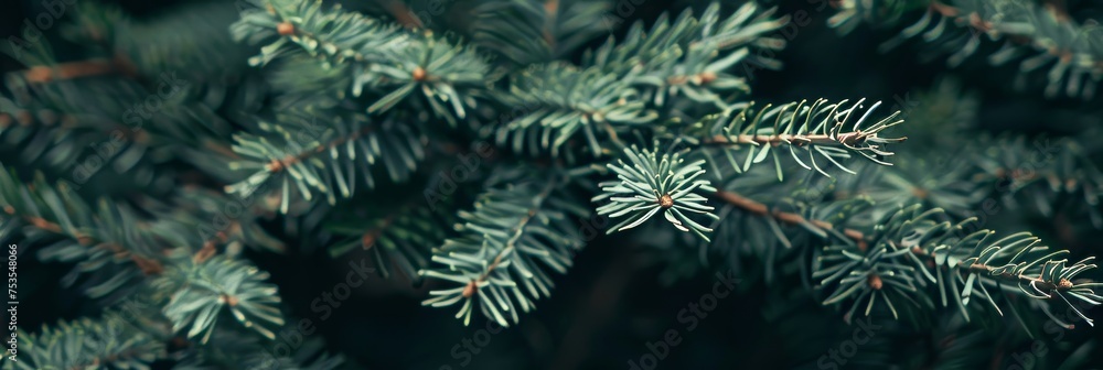 Poster abstract thuja pattern in shades of green for subtle and sophisticated background design