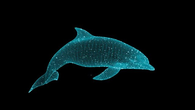The dolphin is blue, shimmers, sparkles and rotates on a dark background. Digital wireframe polygon.  Dynamic Movement.