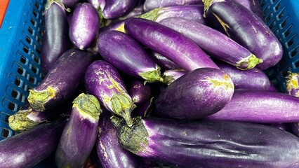 eggplants in a basket