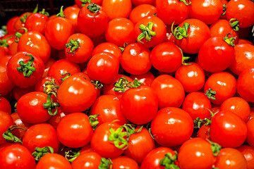 red sweet sour tomatoes grown by farmers