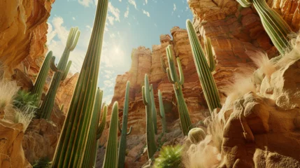 Foto auf Leinwand landscape of cactus in the desert  © ananda