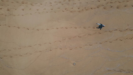 Drone surfboarder walking sand holding professional surfboard. Surfer relaxing