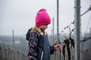 A child walks among the vineyards and beautiful landscape