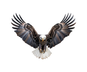 Fototapeta premium _Eagle_doll_on_a_transparent