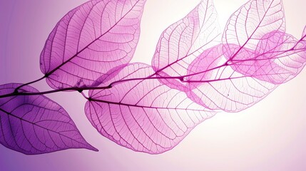 Pastel pink leaf skeleton texture background with intricate details for creative projects.