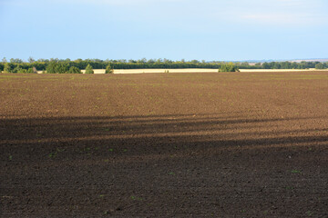 plowed agricultural field with forest line on background copy space  