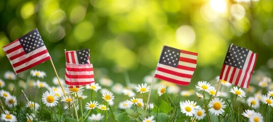 Honoring american veterans on memorial day with flags at national cemetery, tribute to their service