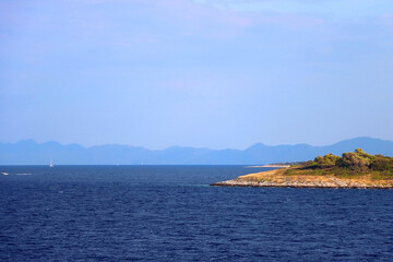 Lush plants on the small island in the Adriatic sea.
