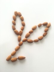 Made leaf with Almond on white background