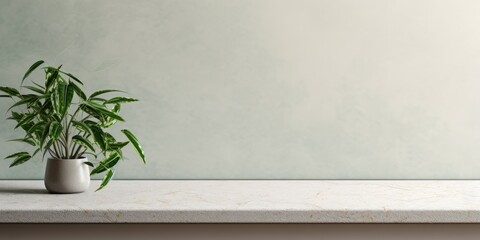 Green plants on a terrazzo shelf, with minimal interior and ceiling moulding.