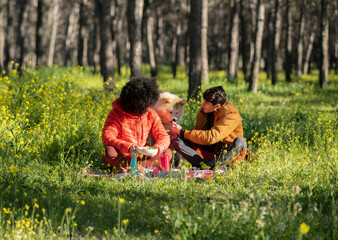 Naklejka na ściany i meble picnic multiracial couple resting and feeding their pet food in the forest