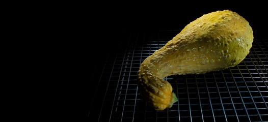 Closeup of a yellow squash with copy space