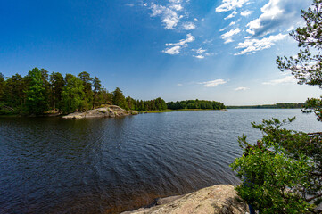 A variety of summer forest landscapes with rivers.