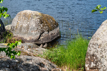 A variety of summer forest landscapes with rivers.