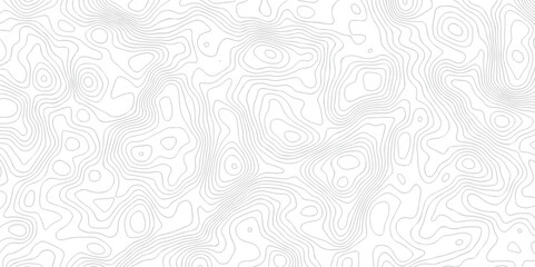 Abstract white topographic map background with lines. Background of the topography map. White wave paper curved reliefs abstract background. The topographic map contour in lines isolated.