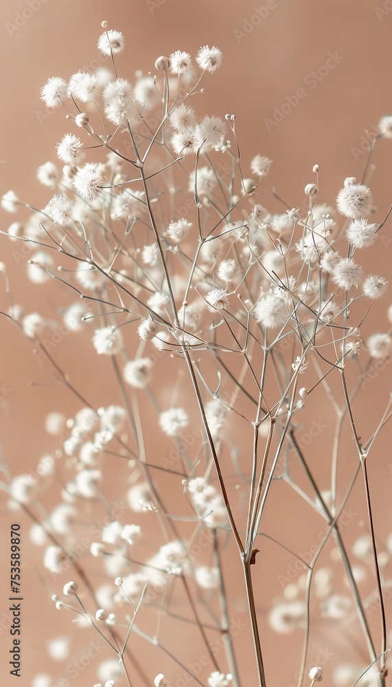 Poster serenely beautiful minimalistic abstract spring background in a soft white color scheme