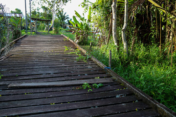 Boardwalk to the Riverside at a Sarawak Borneo Jungle Village Location - 753593083