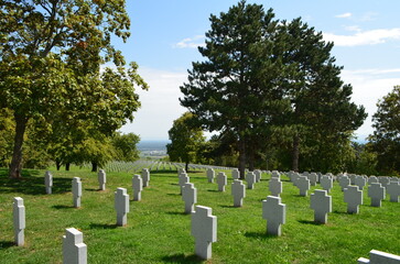 Cimetière militaire allemand 39-45 à Bergheim (Haut-Rhin - Grand-Est - France)