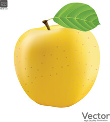 Yellow fresh apple isolated on white background. vector illustration.