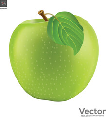 Green fresh apple isolated on white background. vector illustration.