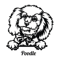 Poodle Dog - Peeking Dog Breed - Pet Dog Vector Portrait, Dog Silhouette Stencil