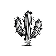 Black and White Cactus Sketch - Artistic Desert Plant Illustration