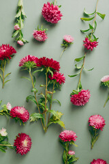 autumn flowers red chrysanthemums on green background pattern