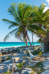 Palm Trees by Tulum Beach and the Caribbean Sea, Yucatan, Mexico.