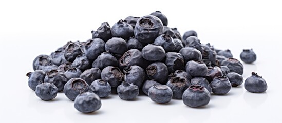 Blueberries: A Delicious and Nutritious Superfood for a Healthy Lifestyle