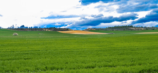 Fototapeta na wymiar Agricultural Field, Villapanillo, Merindad de la Cuesta-Urria, Burgos, Castilla y León, Spain, Europe