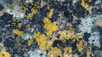 Natural Rock Textured Abstract Background Design