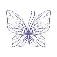 Delicate butterfly with patterns on the wings, simple, sweet, light, romantic. Illustration graphically hand-drawn in lilac ink in line style. Isolated EPS vector object