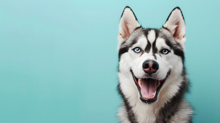 A playful black and white Husky dog captured mid-bark with its face artistically blurred against a soft blue background, emphasizing emotion and style
