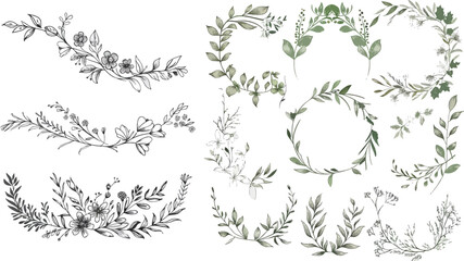 Hand drawn delicate floral borders, frames, dividers - obrazy, fototapety, plakaty