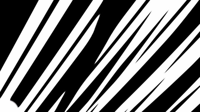 
Abstract background with black and white stripes.Monochrome pattern.