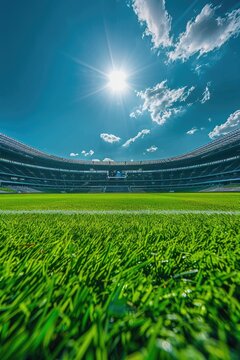 modern stadium with green grass and blue sky