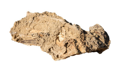 weathered wood isolated on white background