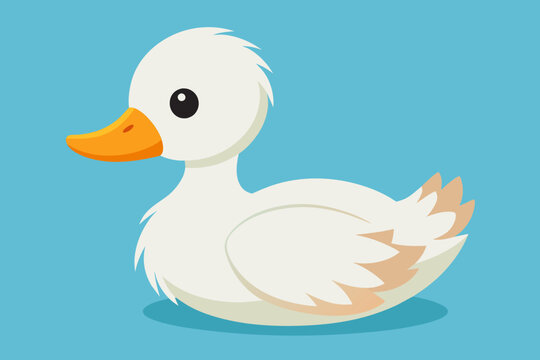 Cute baby duck  vector illustration 