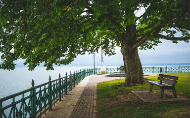 Parkbank unter einem Baum am Ufer eines Sees