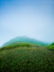 Ethereal Heights: Mist-Enveloped Hilltop with Lush Serenity