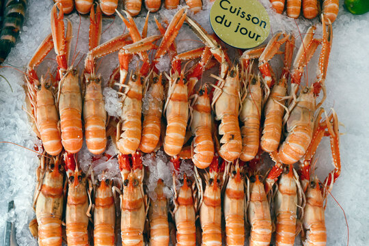Fresh langoustine for sale at traditional fish market, Trouville, Normandy, France