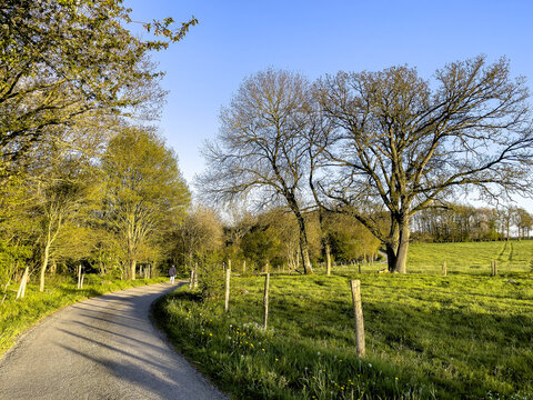 Country road in Le Mesnil en Ouche, Eure, Normandy, France