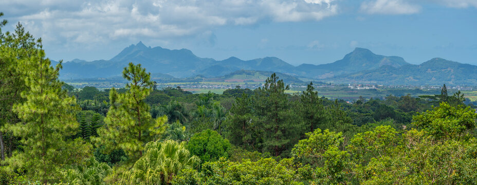 View of landscape from near the Bois Cheri Tea Estate, Savanne District, Mauritius