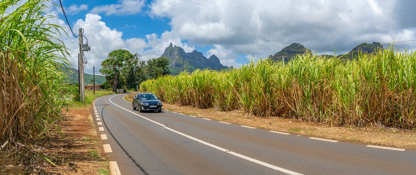 View of road leading to Pieter Both near Vallee du Paradis, Mauritius