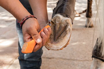 Farrier trimming a horse's hoof with care and precision